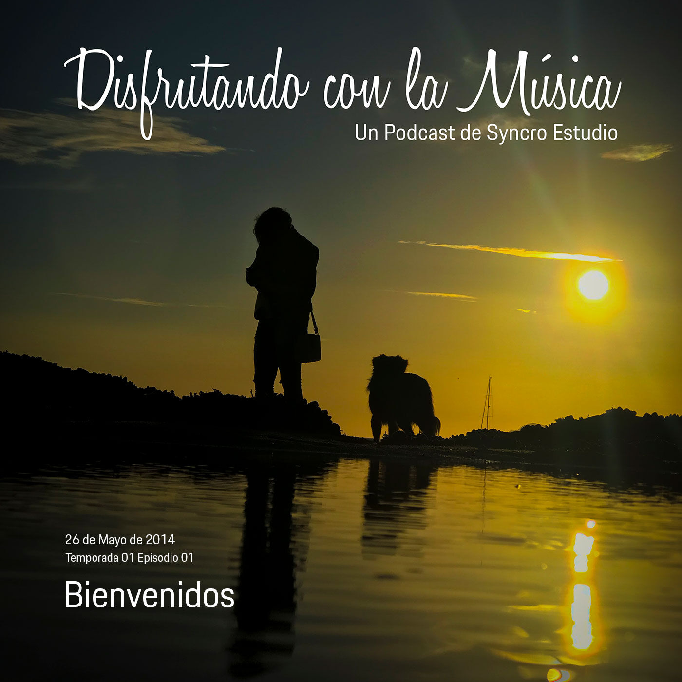 Syncro Estudio - 00-plantilla-imagen-podcast-dcm.jpg